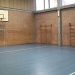 Moquette e parquet - Pavimenti e rivestimenti, palestra di una scuola con pavimentazione in PVC di colore blu