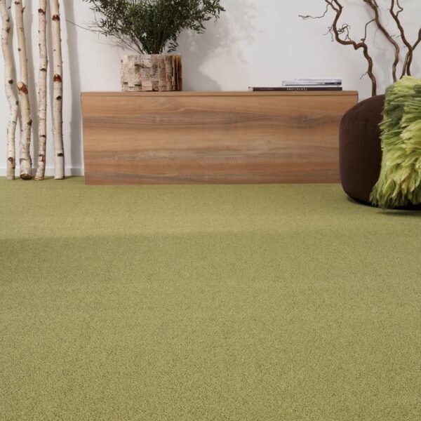 Un soggiorno moderno con un tappeto verde, piante e arredamento in legno chiaro che crea un ambiente accogliente.
