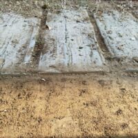 Terreno con impronte di pneumatici su una superficie fangosa, mostrando tracce di veicoli in movimento.