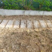 Piccolo giardino con aiuola rialzata in cemento e terreno zappato pronto per la semina, circondato da piante verdi.