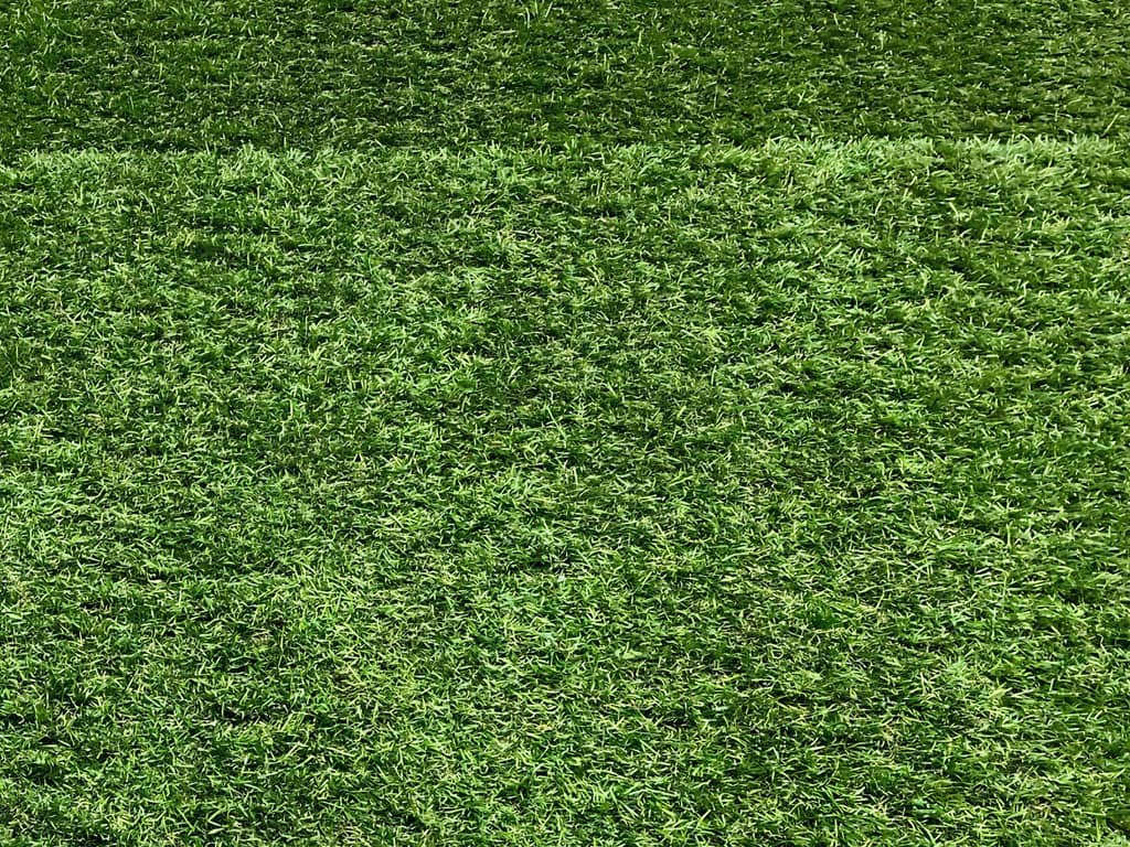 Moquette e Parquet - Promozioni erba sintetica di colore verde tipologia Bristol di dimensioni 13,35 metri x 1,27 metri spessore 9 millimetri