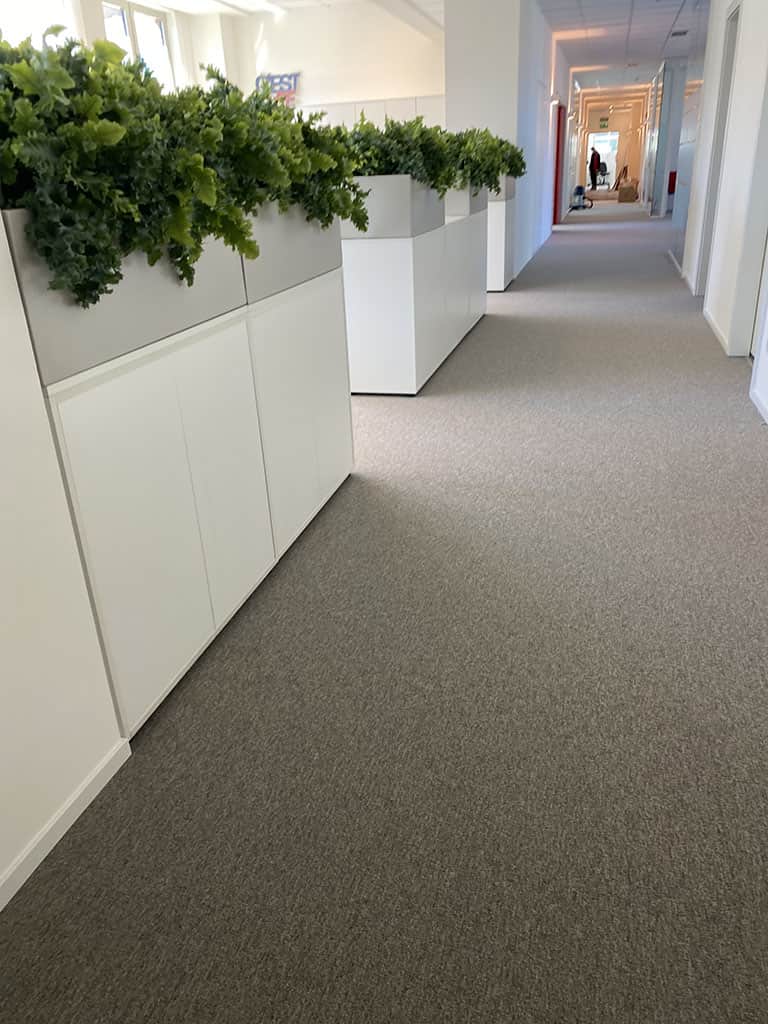 Moquette e parquet realizzazione nuovi uffici tecnologici San Carlo corridoi uffici con piante realizzati con moquette ignifuga